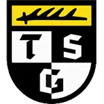 TSG Balingen logo