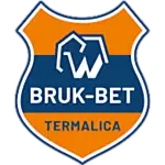 Termalica logo