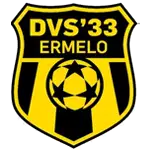 DVS logo
