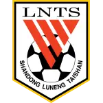 Shandong logo