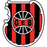 Brasil Pelotas logo