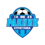 Radnik logo