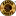 Kaizer Chiefs logo