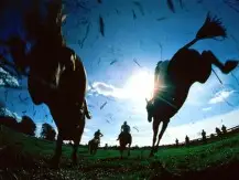 Quais são os conceitos básicos das corridas de cavalos no Reino Unido?